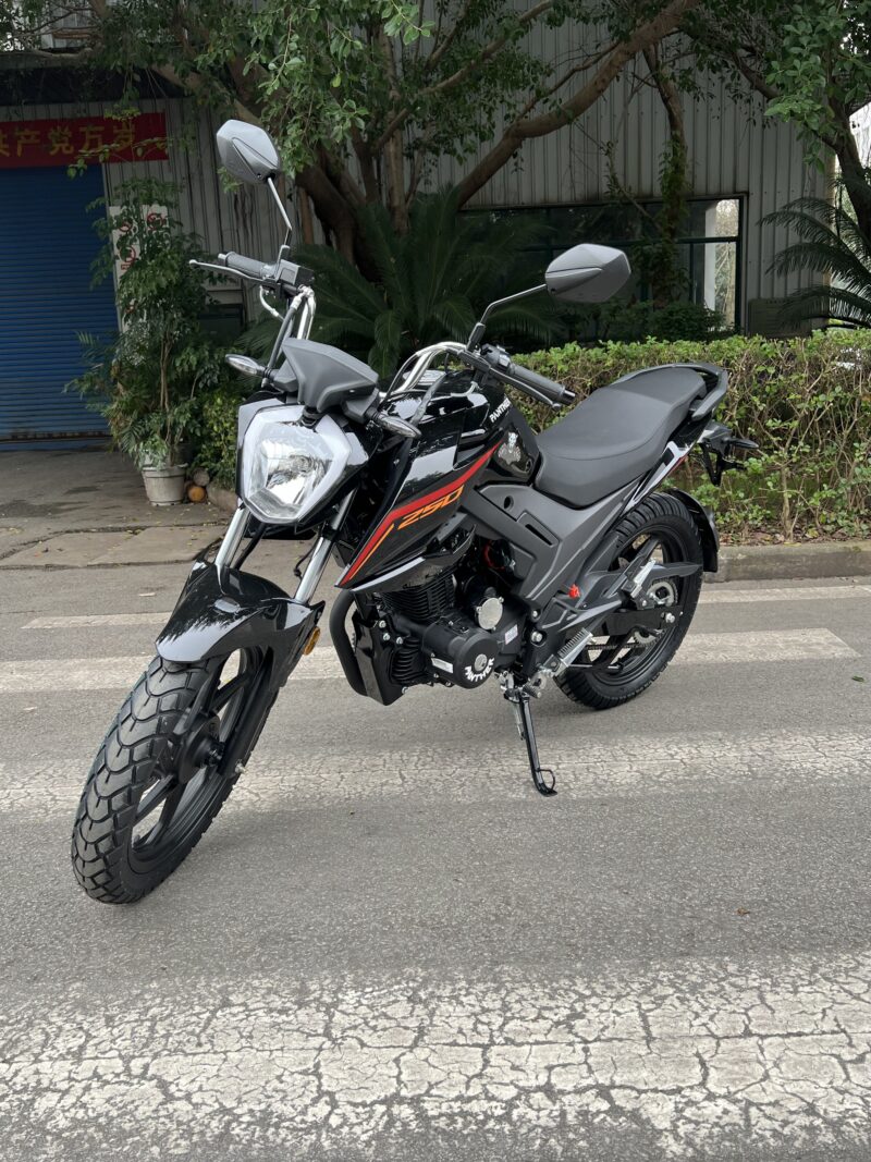 Modelo LF250-10E - Image 5