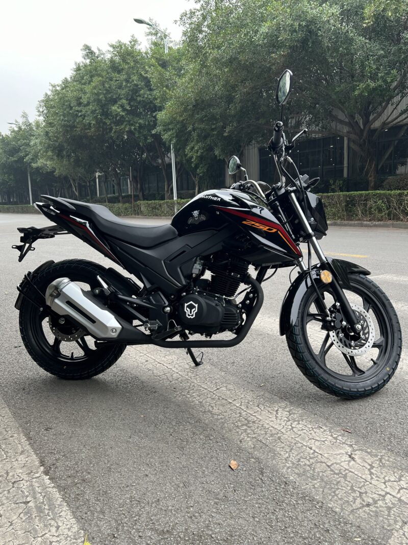 Modelo LF250-10E - Image 2