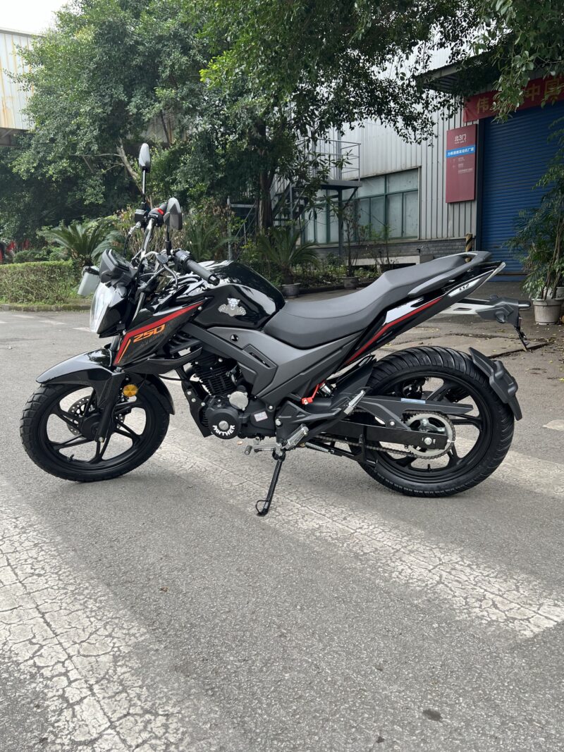 Modelo LF250-10E - Image 3